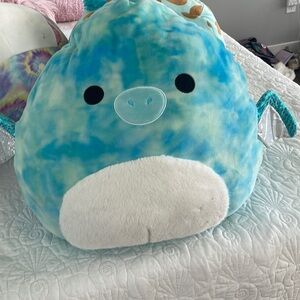 shark dragon squishmallow
